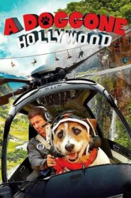 ดูหนังออนไลน์ A Doggone Hollywood (2017) เต็มเรื่อง