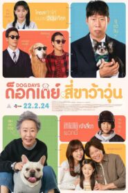 Dog Days ด็อกเดย์ สี่ขาว้าวุ่น (2024) ความรักของคนและสุนัข